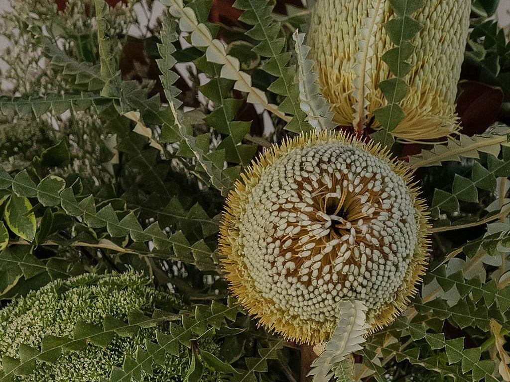 Plants and Greenery
