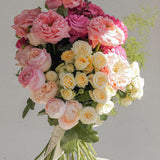 English Rose